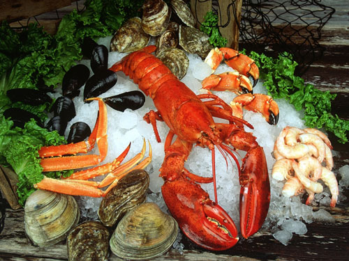 fresh seafood - shellfish