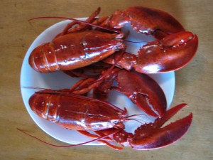 Boiled Lobsters