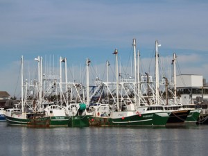 Cape May NJ fishing boats