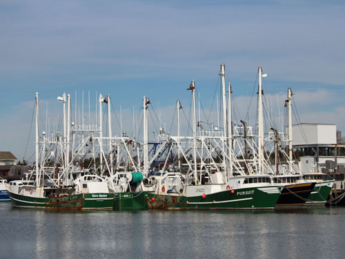 Cape May NJ fishing boats