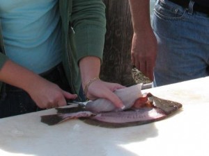 filleting-flounder-top3