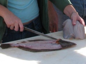 flounder-fillet