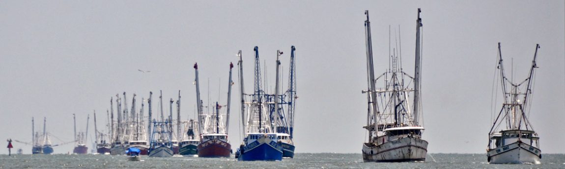 gulf of mexico shrimp boats