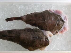 fresh monkfish