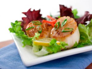 cooked sea scallops