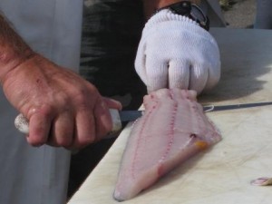 skinning-mahi