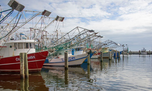 gulf of mexico shrimp boats