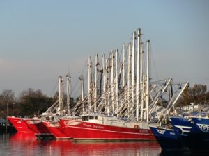 newport news va fishing boats